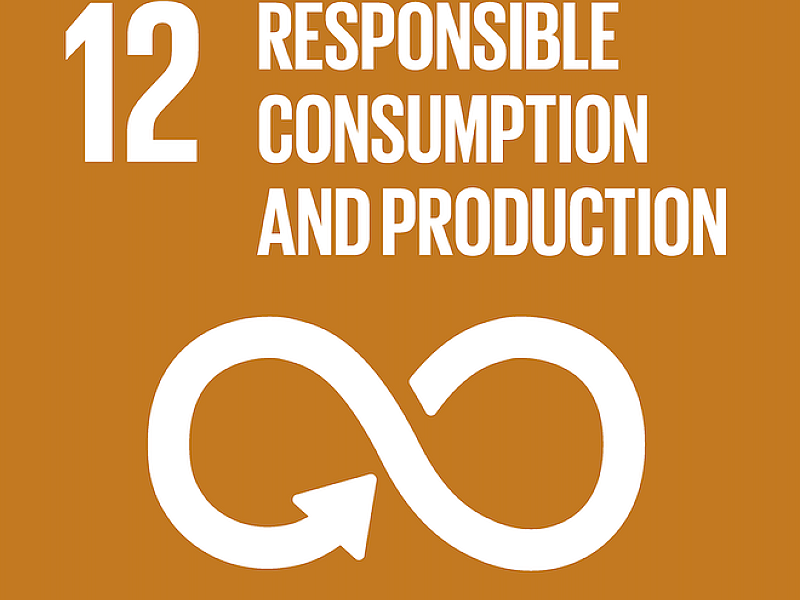 SDG 12: Verantwoord consumeren en produceren